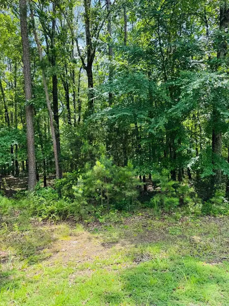 Heber Springs, AR 72543