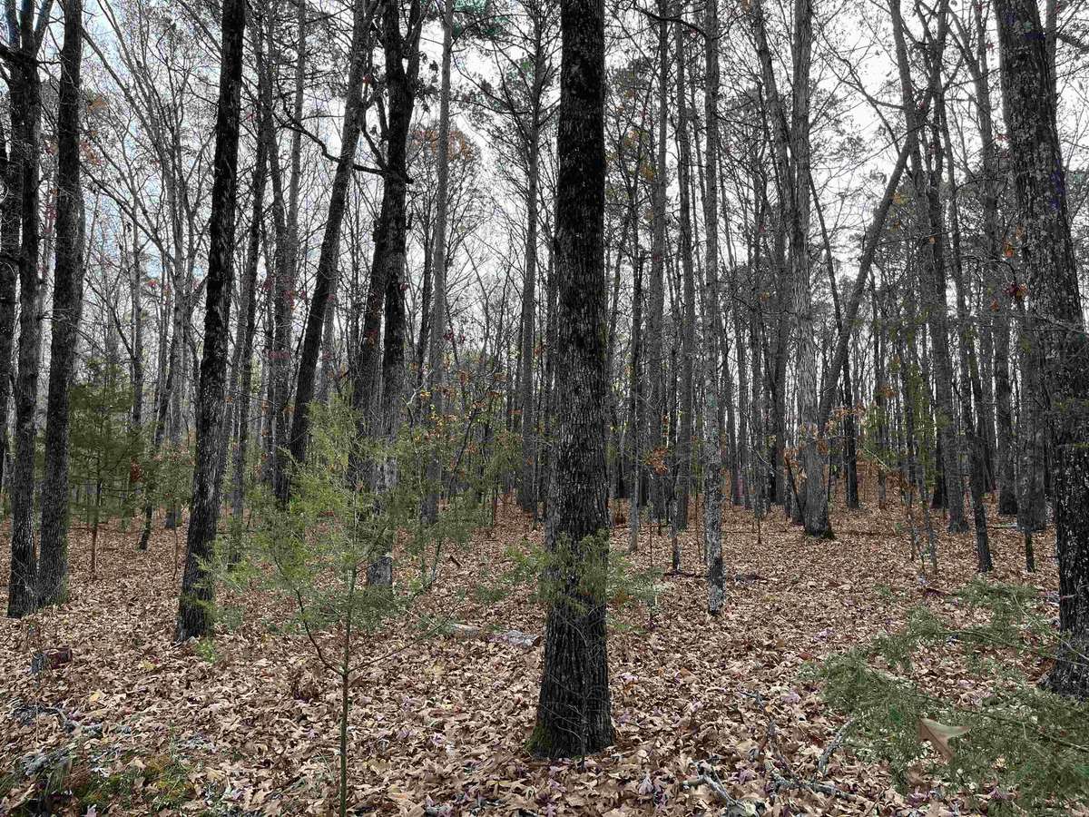 Drasco, AR 72530,Lot 307 Tannenbaum Rd