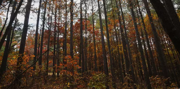 Clinton, AR 72031,Lot 41 Mustang Drive