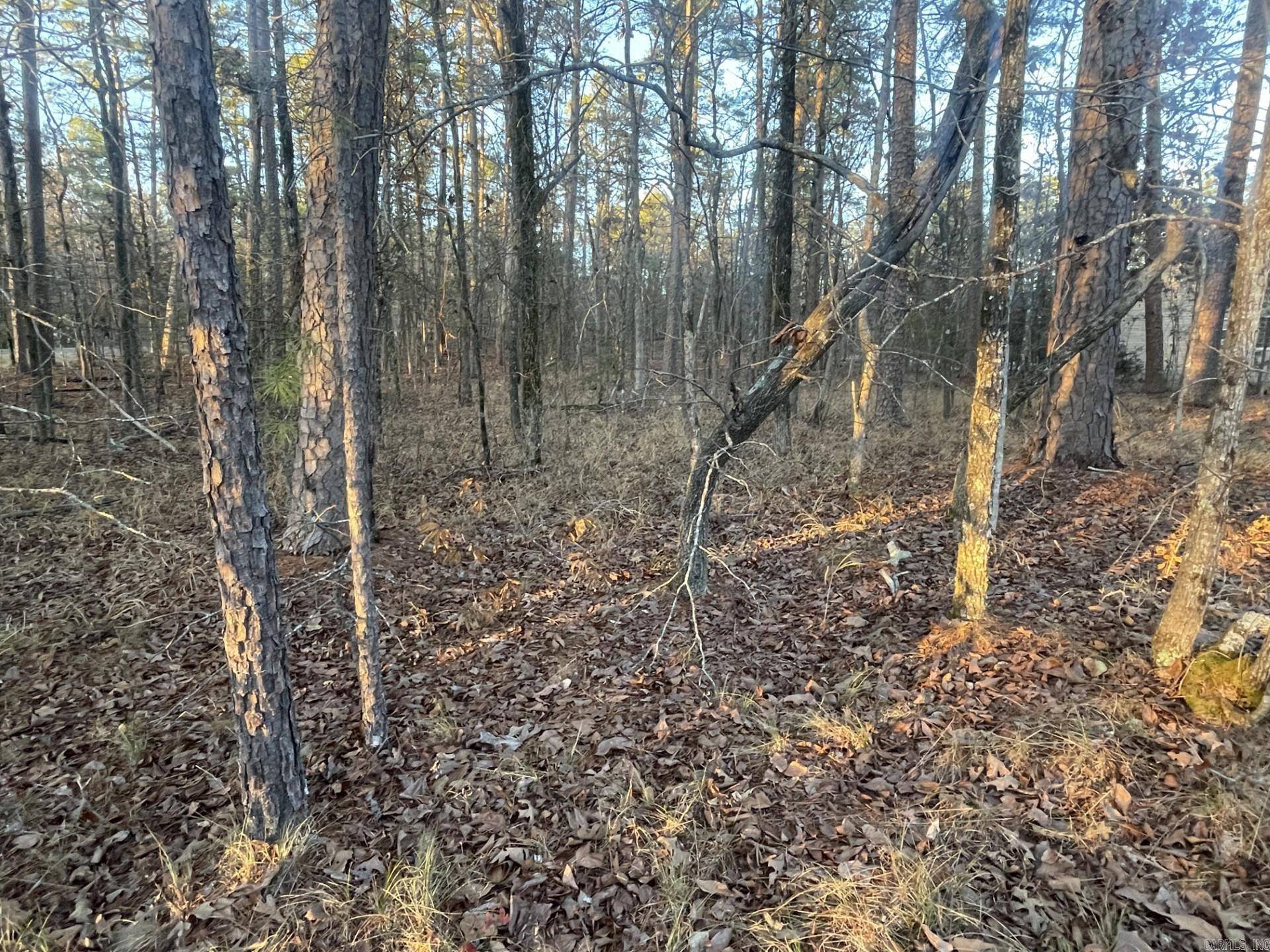 Hot Springs Village, AR 71909,HARTURA Way