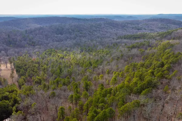 Paron, AR 72122,00 Horseshoe Mountain Road