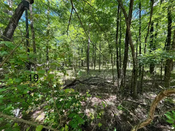 LOT 19 Waterview Drive,  Hot Springs,  AR 71913