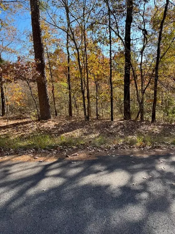 Hot Springs Village, AR 71909,17 Fachado Way