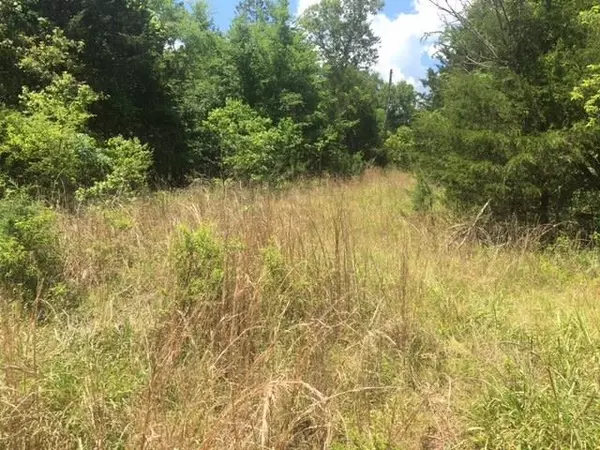 Calico Rock, AR 72519,1179 Lofton Road