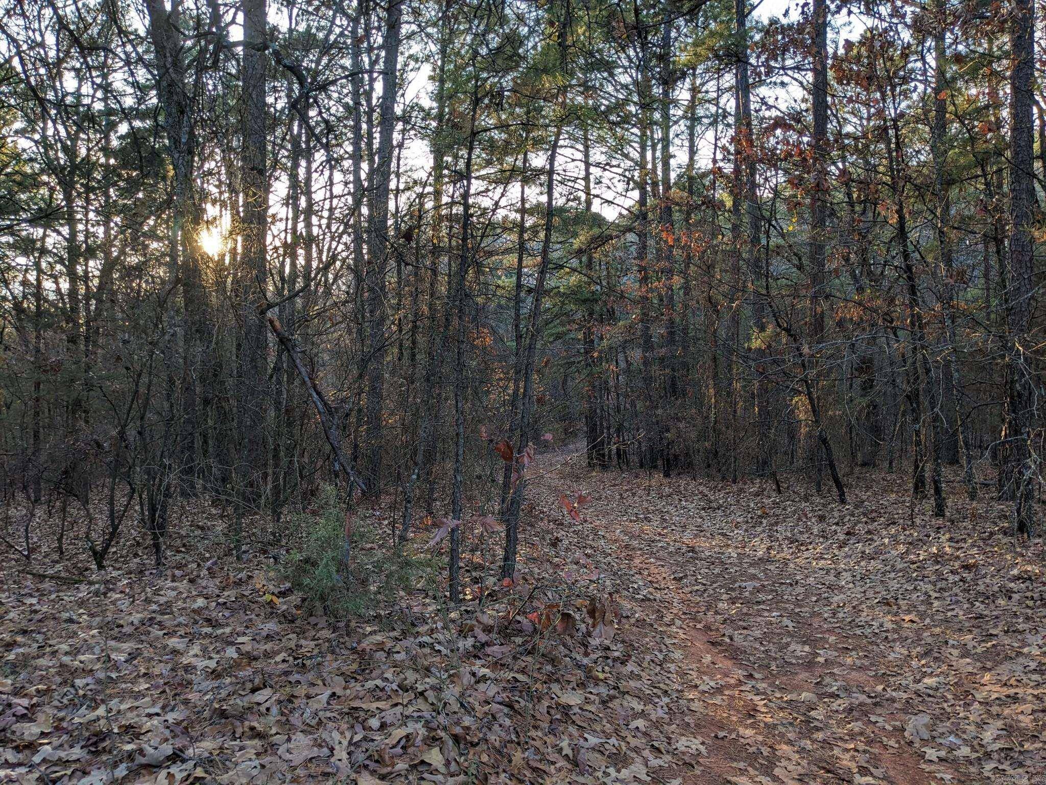 Atkins, AR 72823,0 Water Tower Road