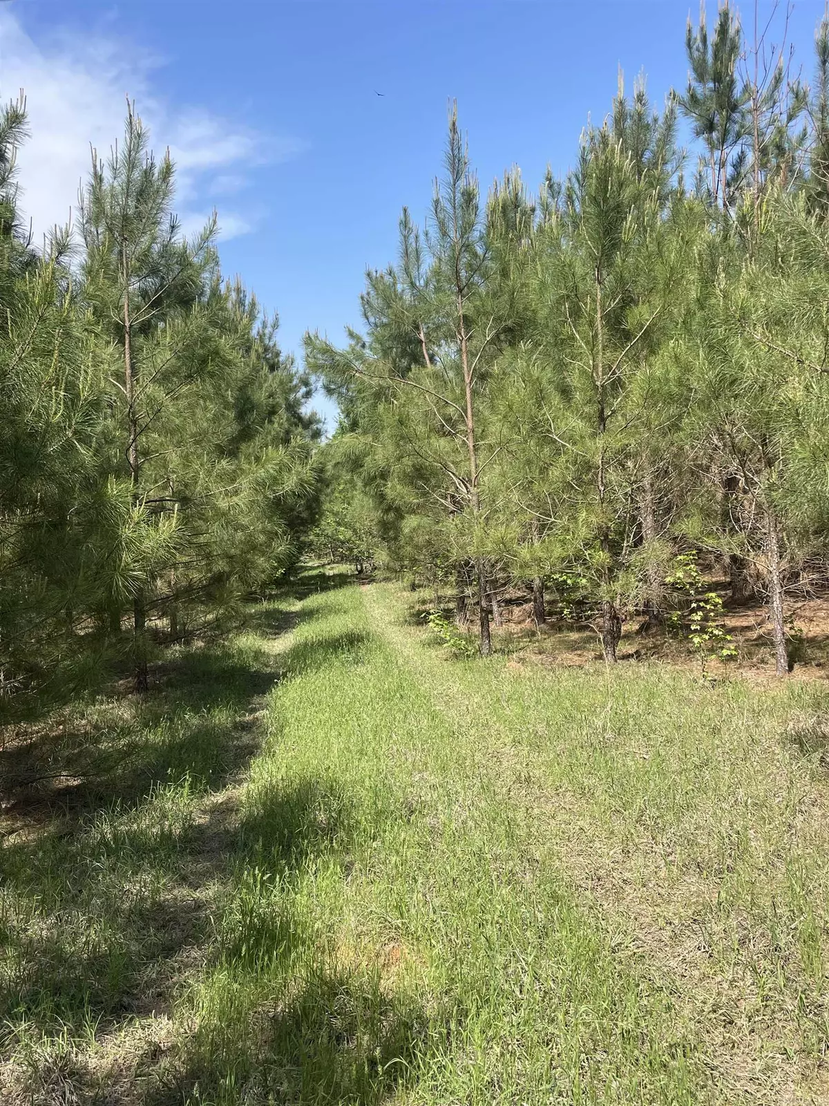 Doddridge, AR 71834,TBD Miller County 6