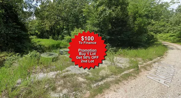 Cherokee Village, AR 72529,Lot 13 OCHOPEE Drive