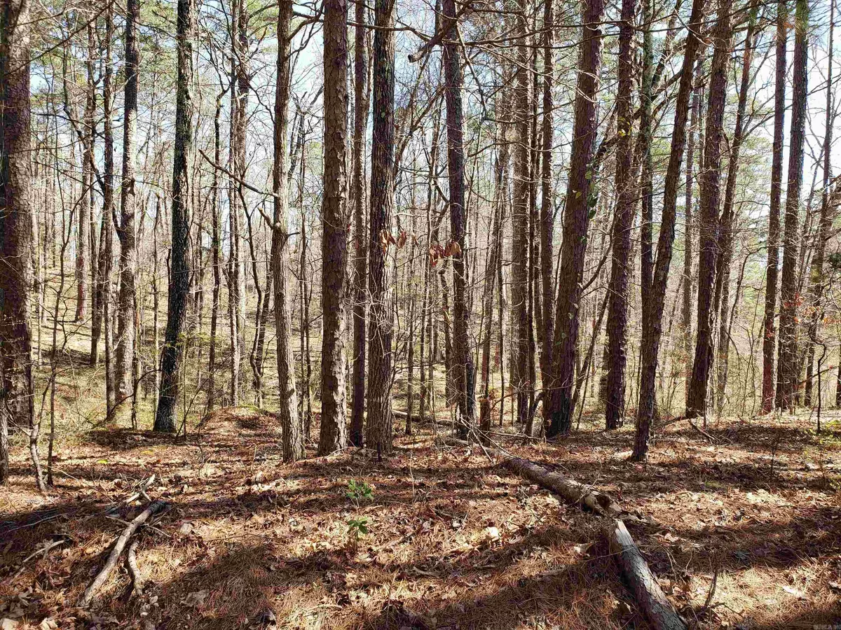 Hot Springs Village, AR 71909,33 Caballero Way