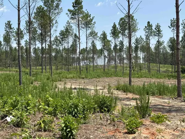Sheridan, AR 72150,0 Grant 43 (E)