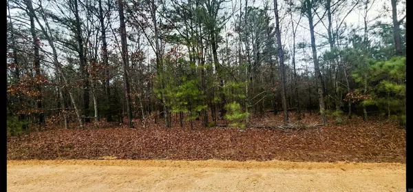 Lot 1 Bear Trail, Rison, AR 71665
