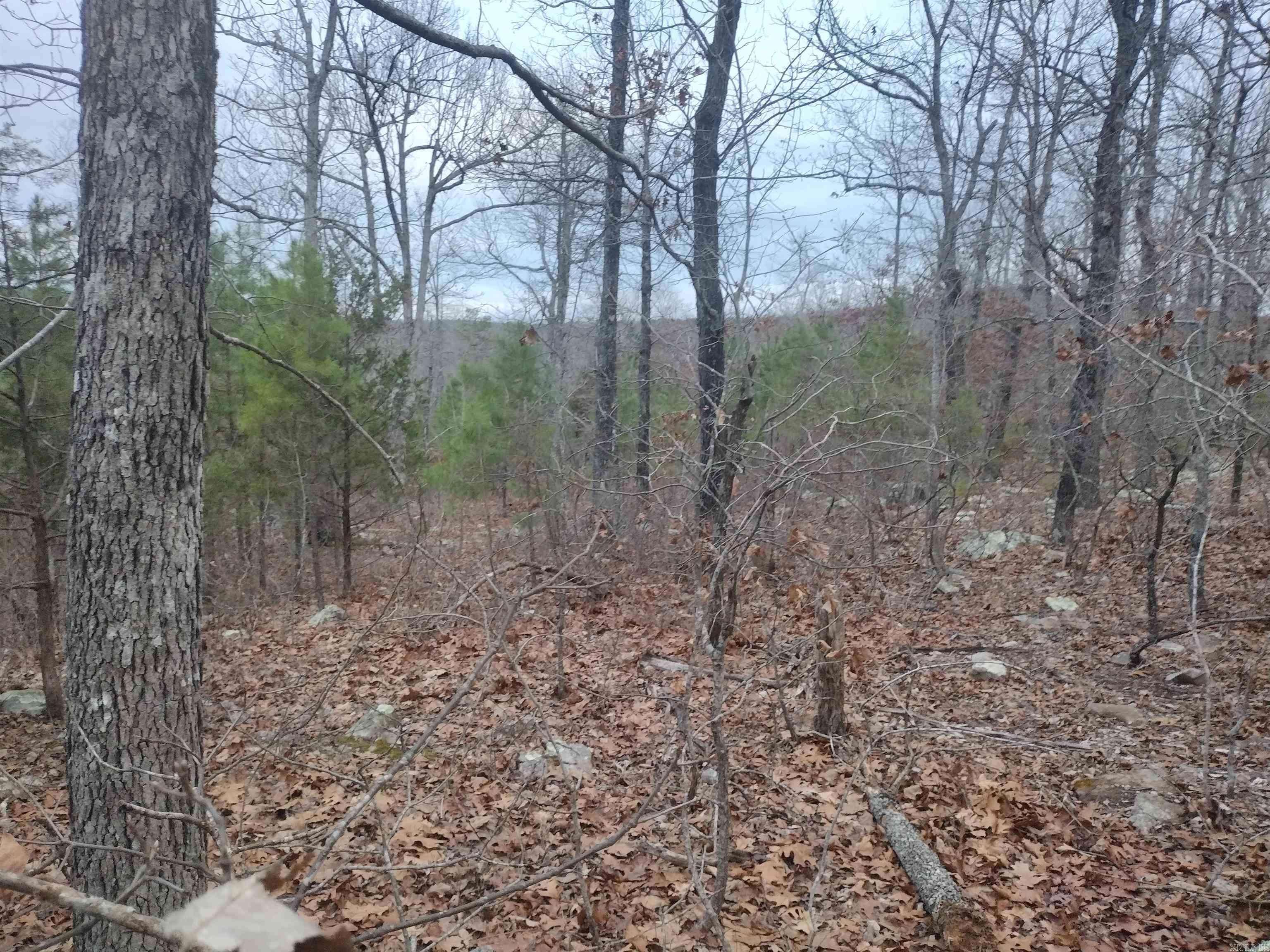 Mountain View, AR 72560,0000 Monahan Rd