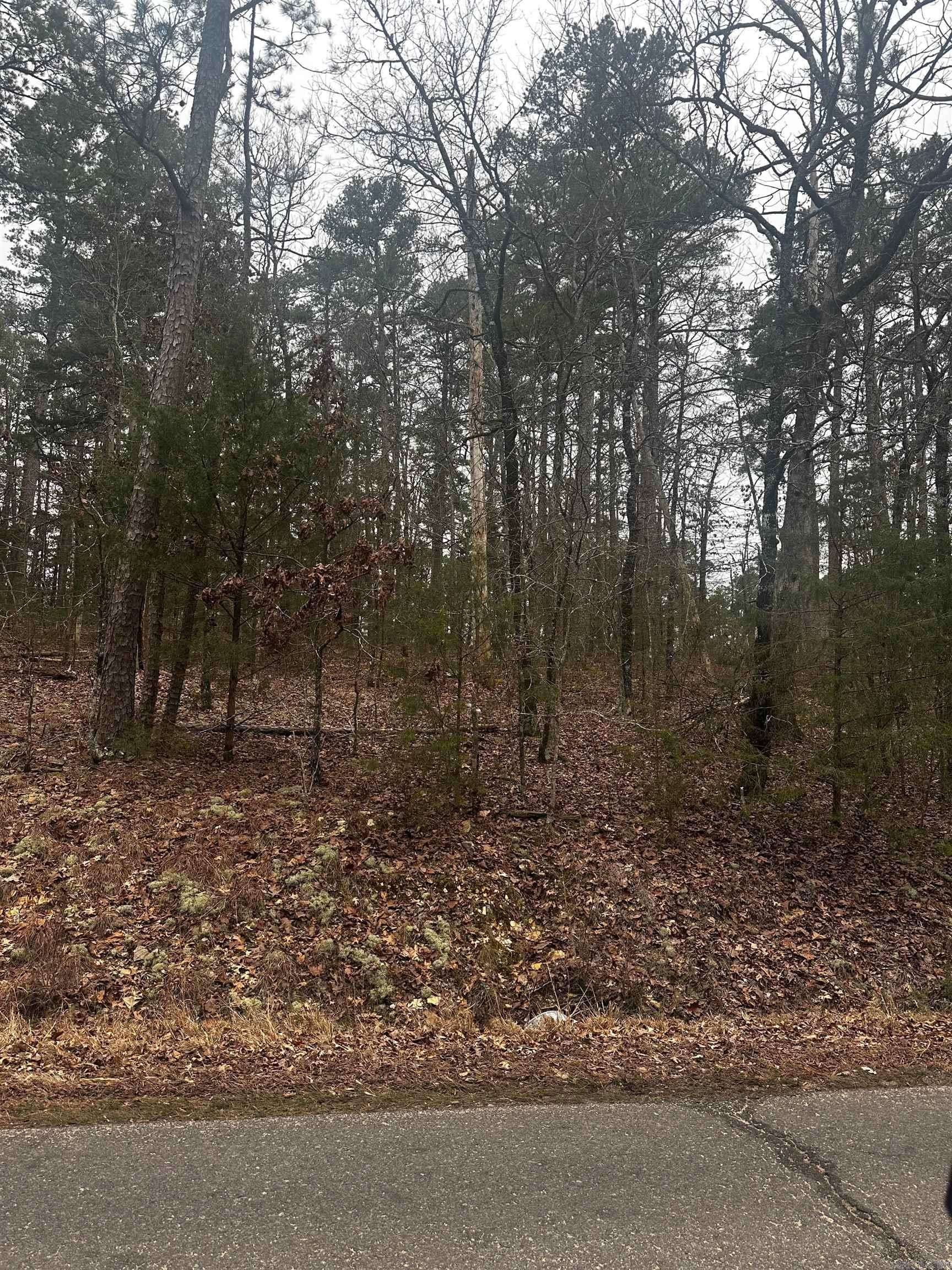 Cetrero Way, Hot Springs Village, AR 71909-7423