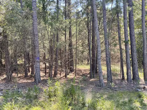 Romance, AR 72136,0 Shelby LN