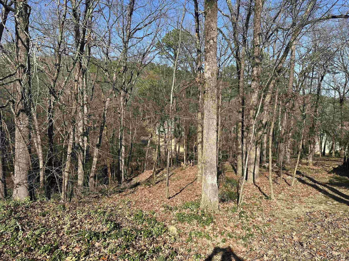 Little Rock, AR 72211,3 Bonaparte Ct.