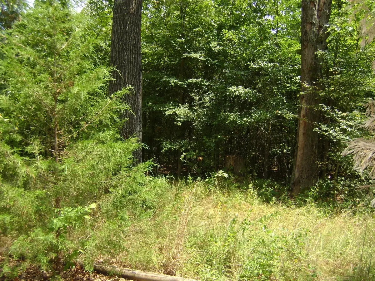 Horseshoe Bend, AR 72512-0000,206 & 208 Wedge Road