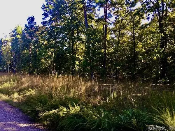 93 W South Ridge Road, Bigelow, AR 72016