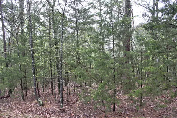 Edgemont, AR 72044,000 Genie Lane