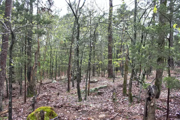 Edgemont, AR 72044,000 Genie Lane