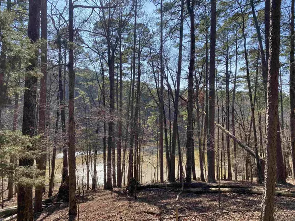 Mount Ida, AR 71957,17 Southridge Drive