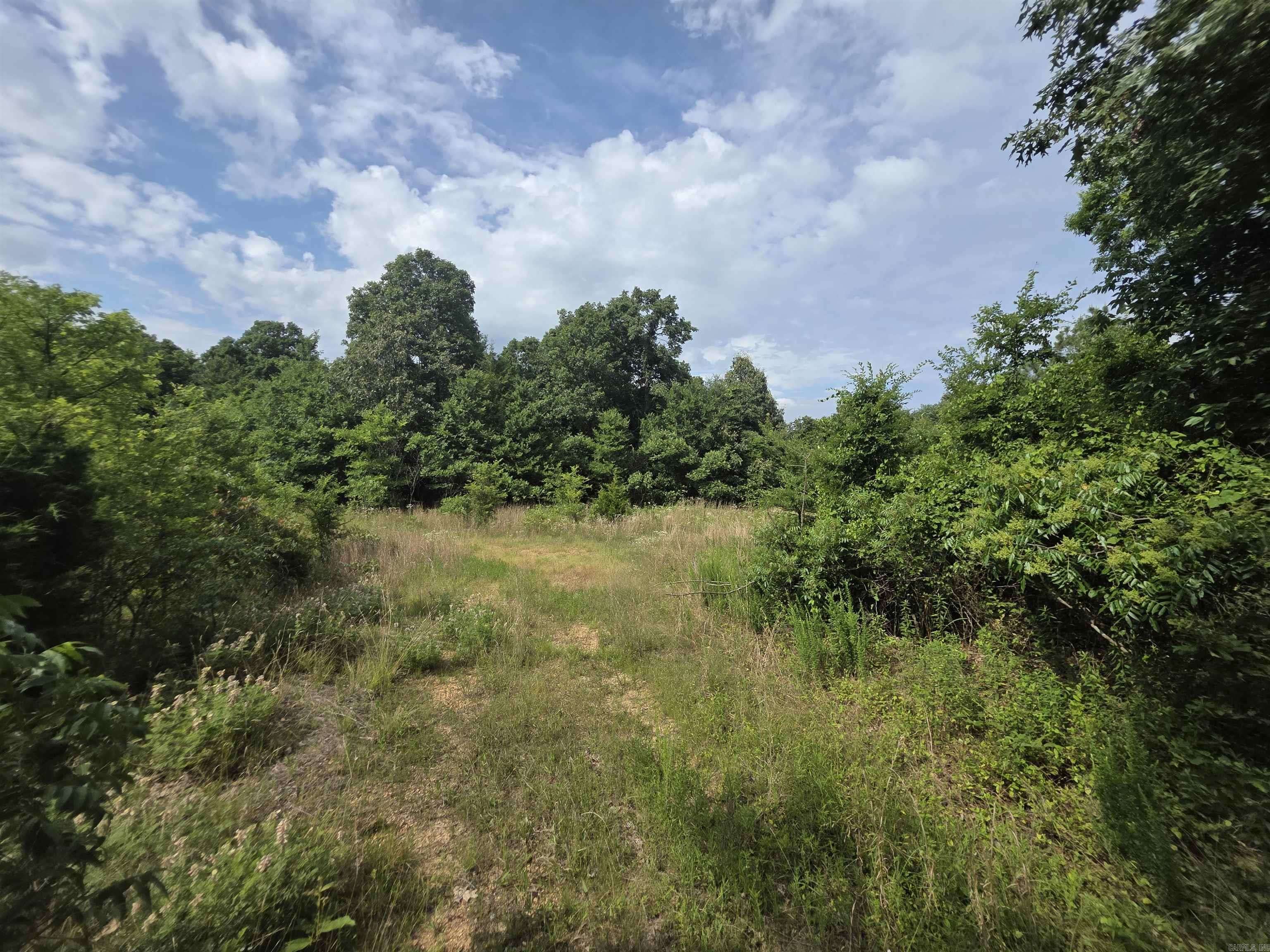 617 County Road 417 Road, Rector, AR 72461