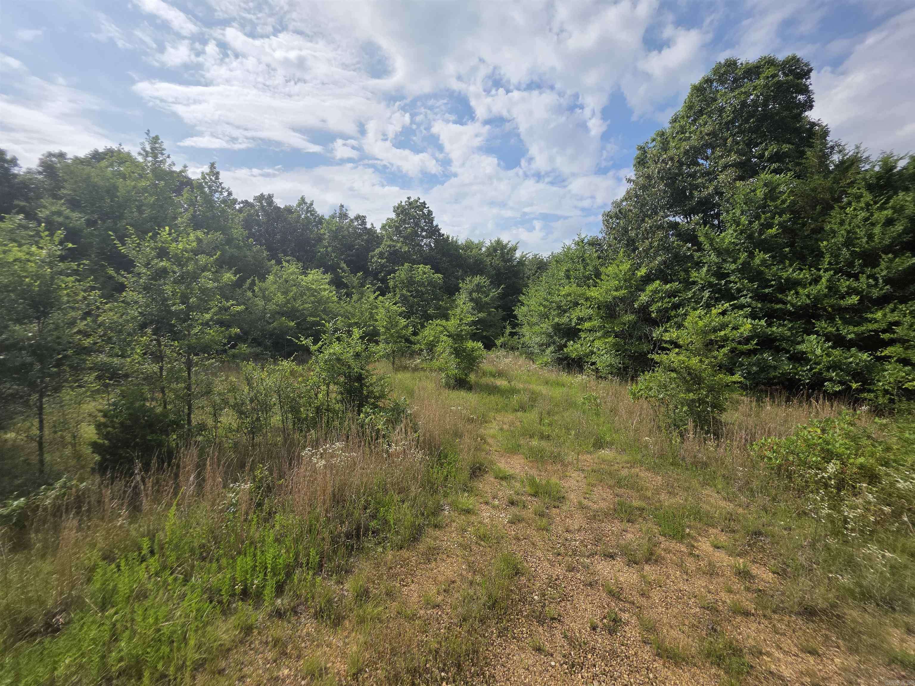Rector, AR 72461,616 County Road 417 Road