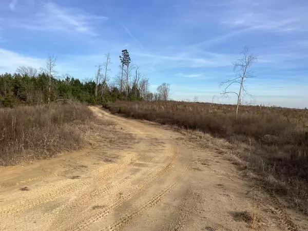 Okolona, AR 71962,0000 Davidson Campground Road