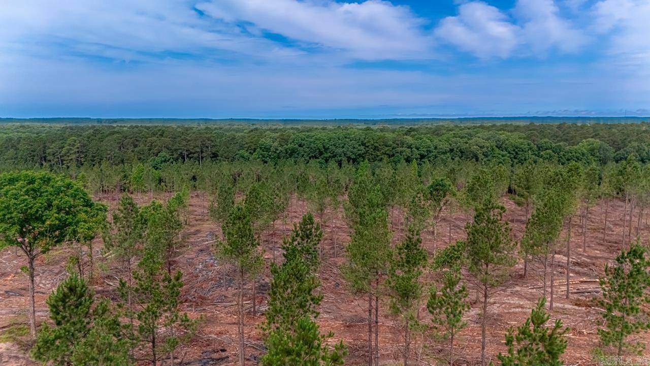 Hensley, AR 72065,LOT #2 Grant 55