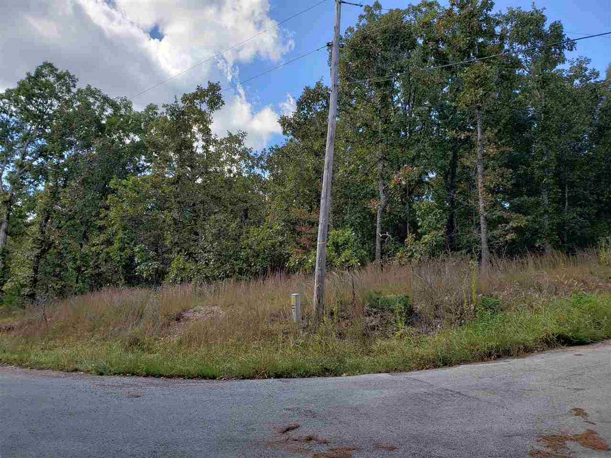 Cherokee Village, AR 72529,L-3 & 4, B-11 Meca Drive