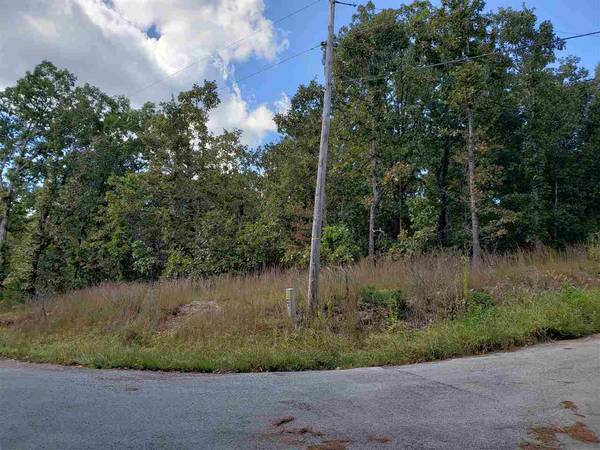 L-3 & 4, B-11 Meca Drive, Cherokee Village, AR 72529