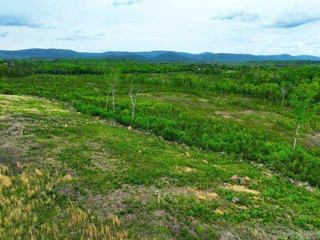 Mena, AR 71953,251 Polk Road 72