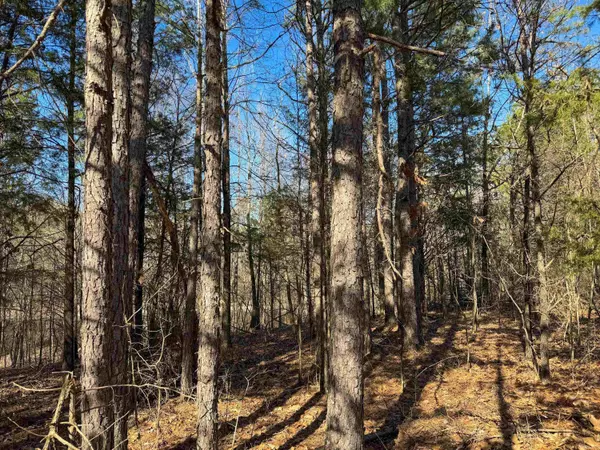 Quitman, AR 72131,100 Guy Lane