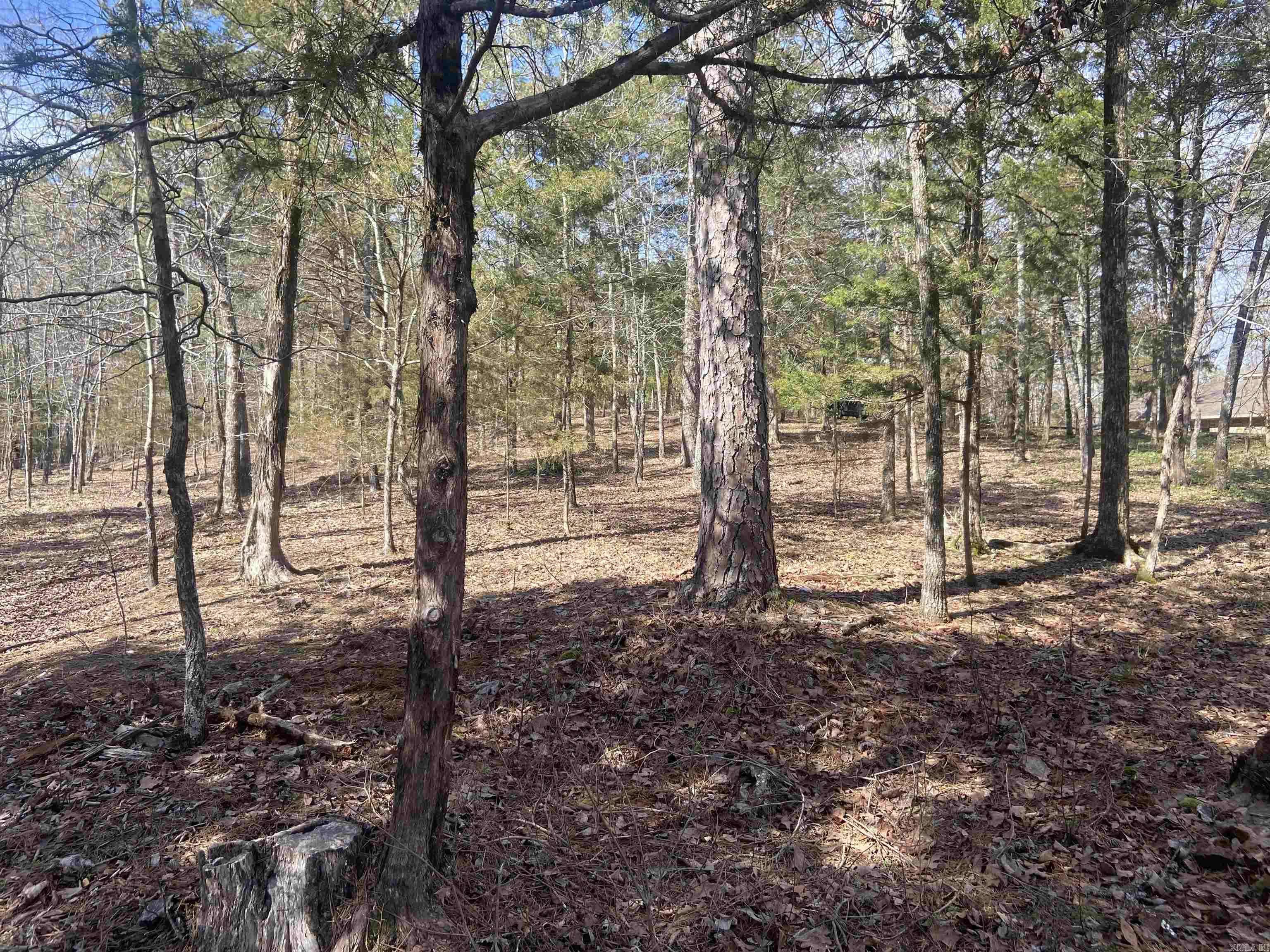 Hot Springs Village, AR 71909,Address not disclosed