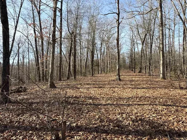 Marshall, AR 72650,00 Axel Drive