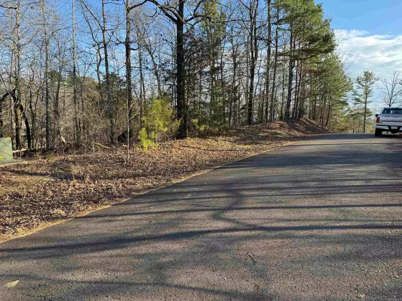 29 ANDORRA LANE, Hot Springs Village, AR 71909