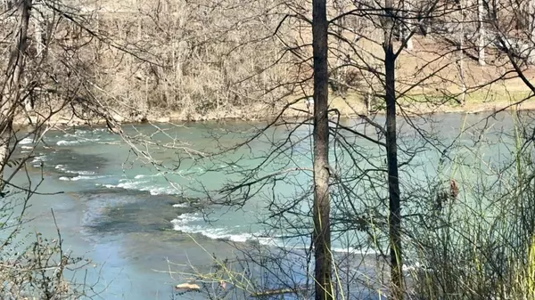 Mammoth Spring, AR 72554,168 Riverview Drive
