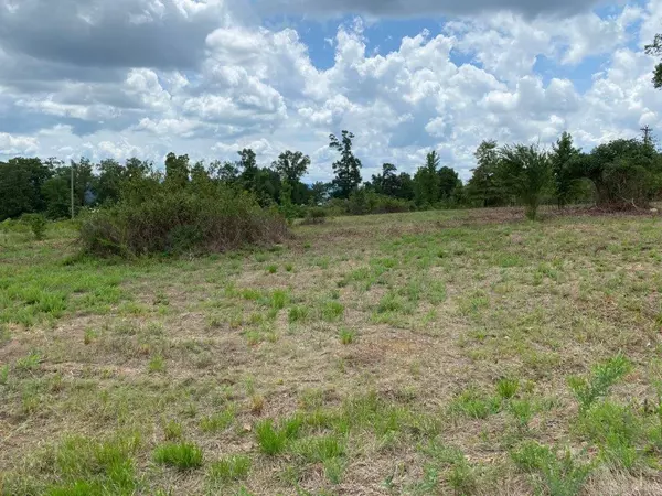Edgemont, AR 72044,LOT 4 DONHAM Drive