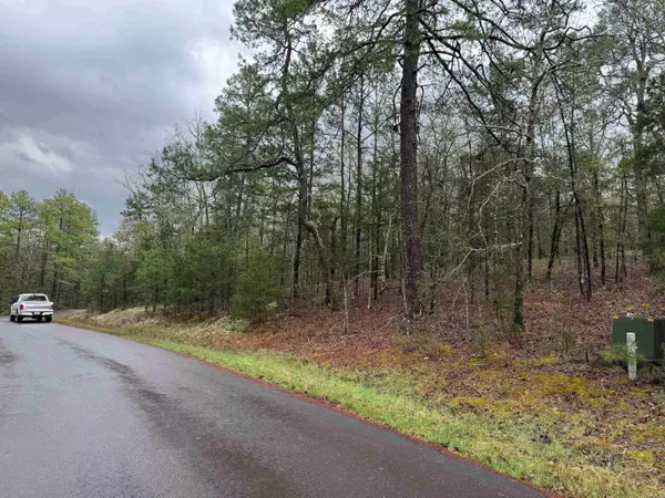 12 PERFECTO CT, Hot Springs Village, AR 71909