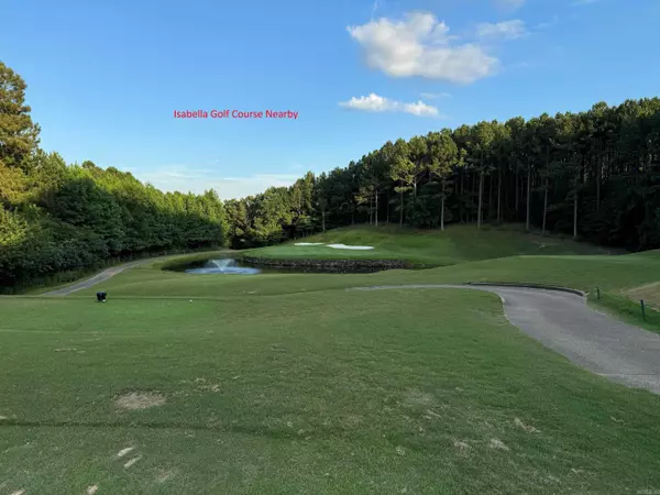 Hot Springs Village, AR 71909,12 PERFECTO CT