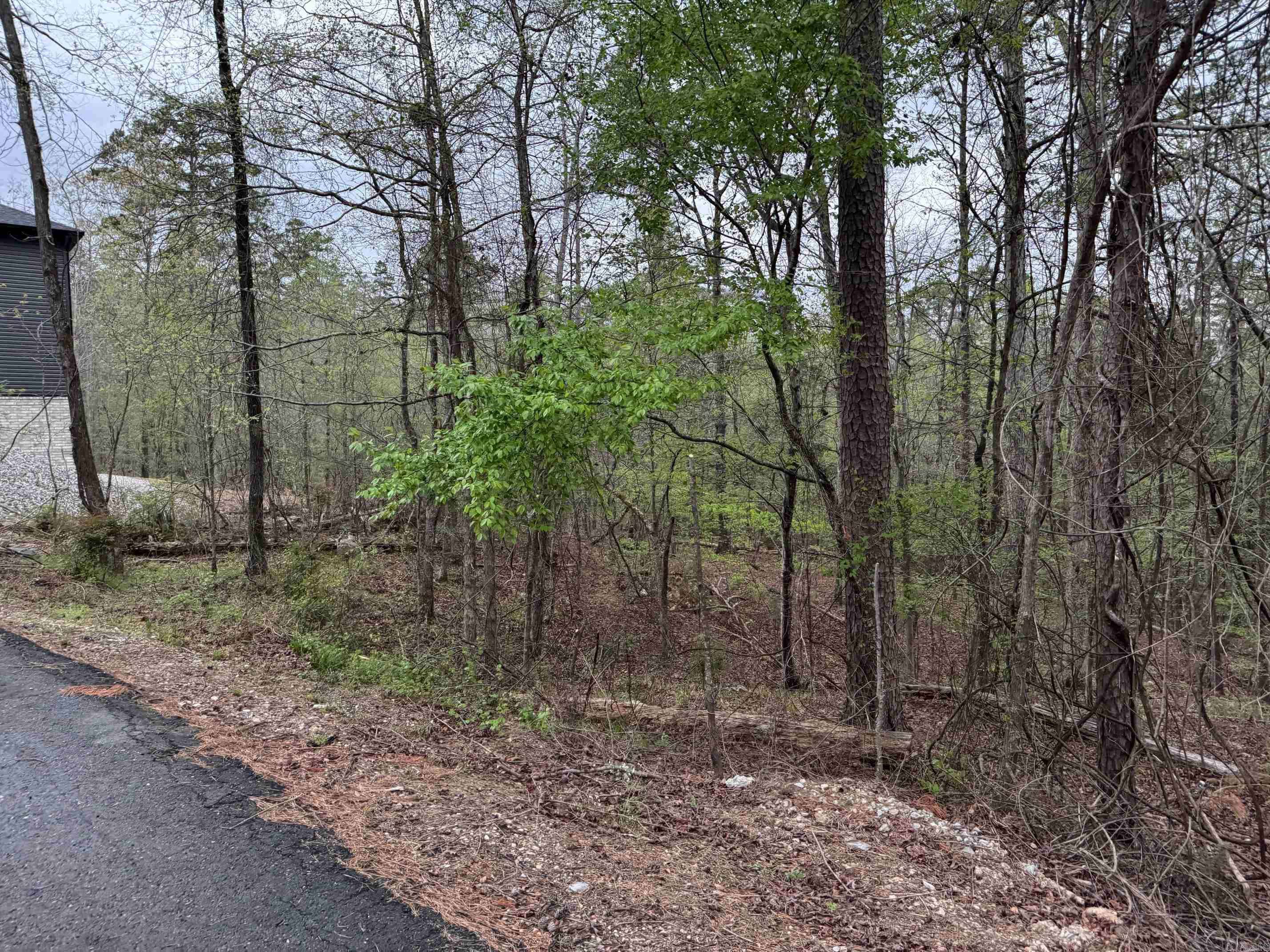13 SORPRESA LANE, Hot Springs Village, AR 71909