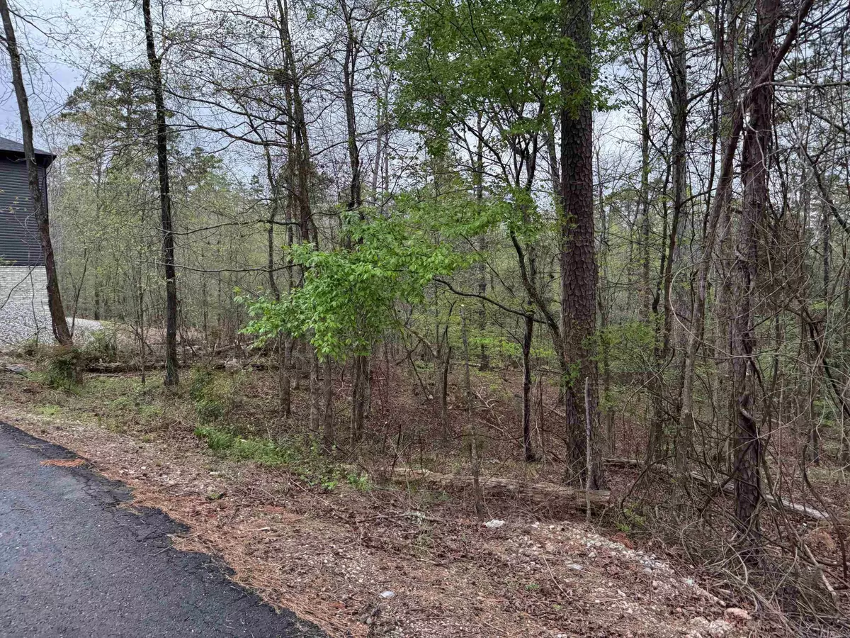 Hot Springs Village, AR 71909,13 SORPRESA LANE