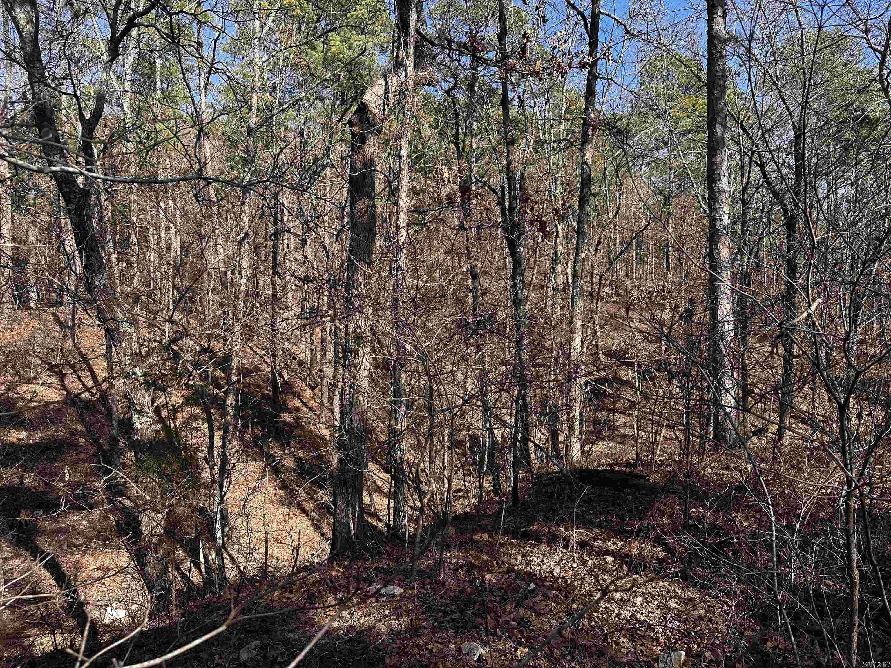 Mena, AR 71953,TBD Gardenia Ln.