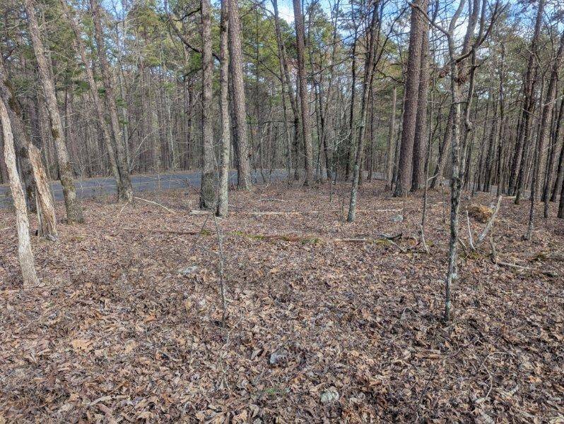 Hot Springs Village, AR 71909,48 Lago Dr
