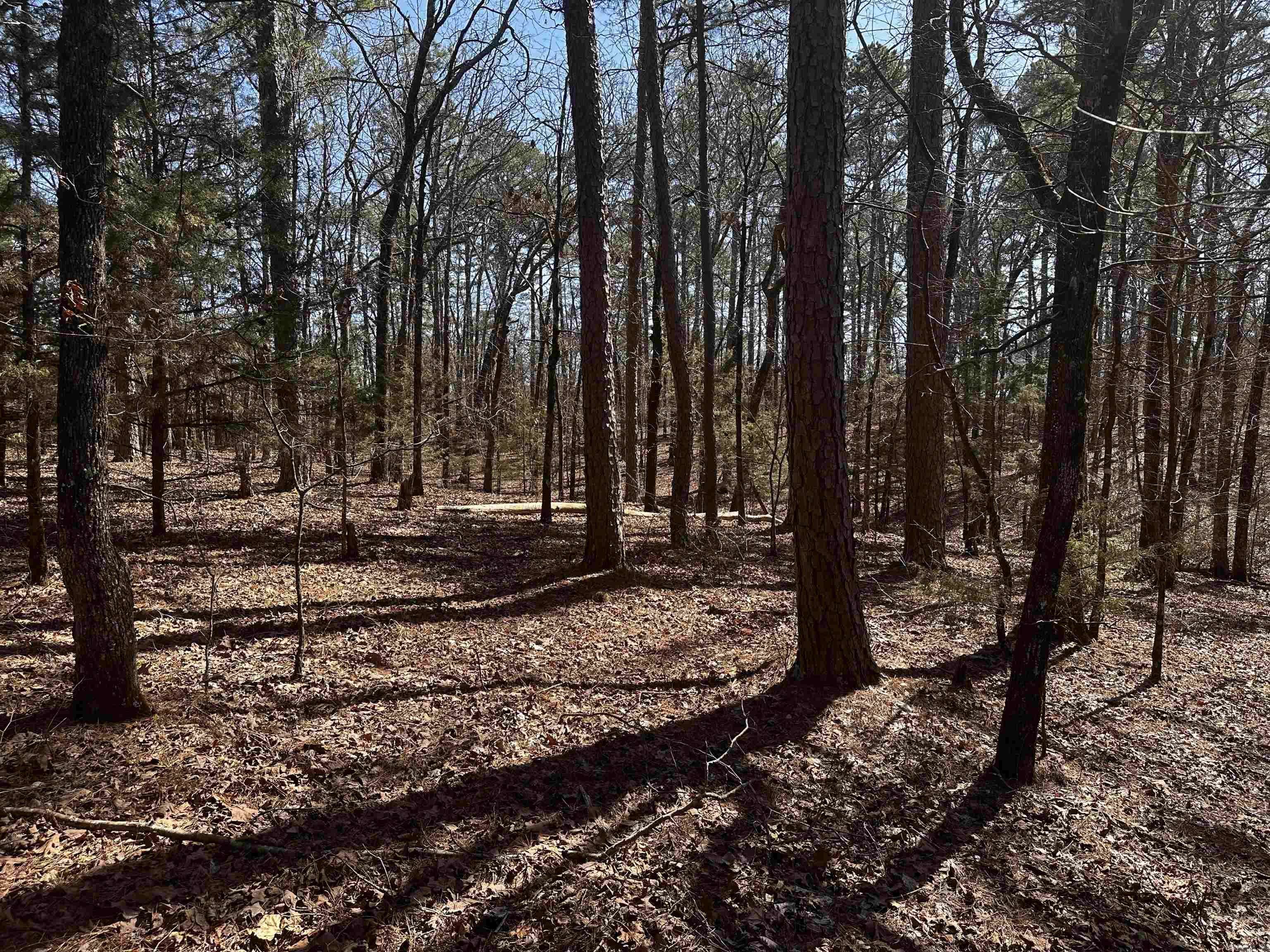 Mena, AR 71953,198 Cathedral Pines ln