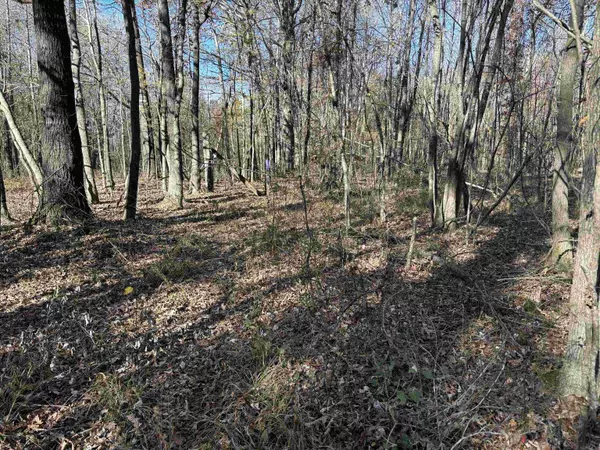 Ward, AR 72176,Address not disclosed