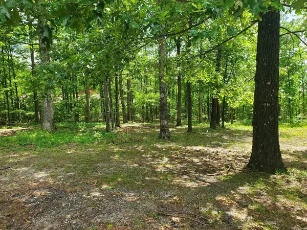 TBD (Lot 5) Brandon Drive, Mena, AR 71953