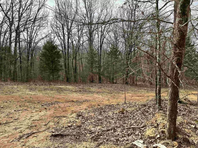 Lot 1 Raby Road, Harrisburg, AR 72432