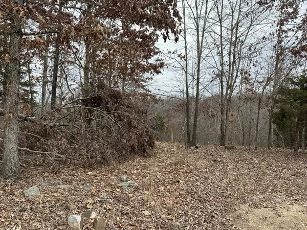 Yellville, AR 72687,Tract 3 Deer Meadows Lane
