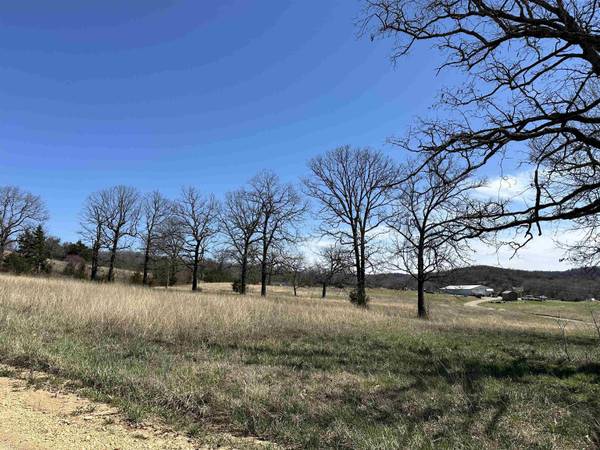 Lot 4 Deer Meadows Lane, Yellville, AR 72687