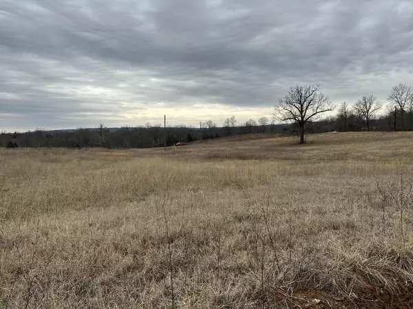 Yellville, AR 72687,Lot 2 Hwy 62