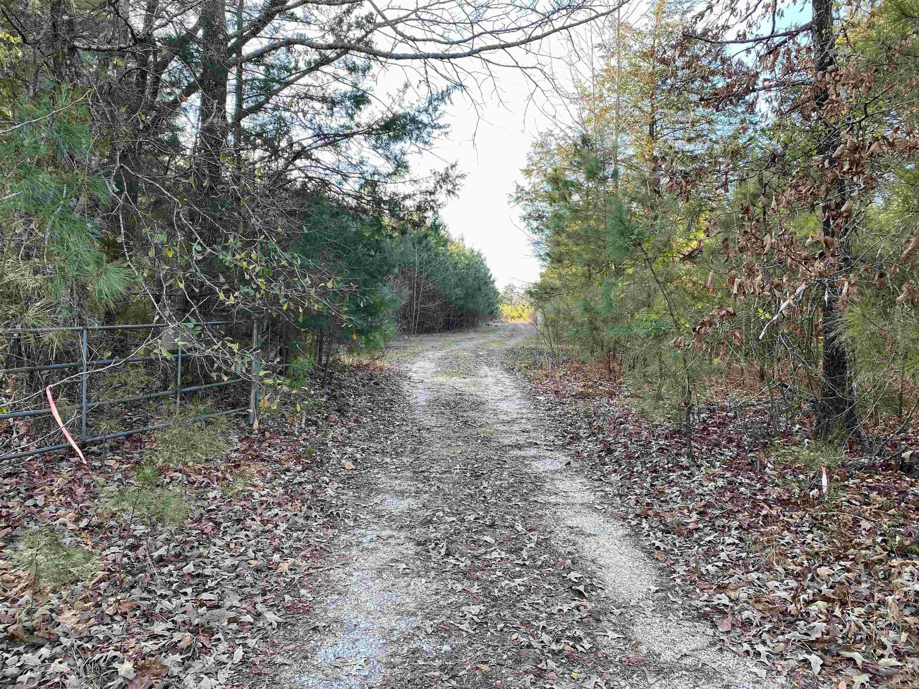 Carthage, AR 71725